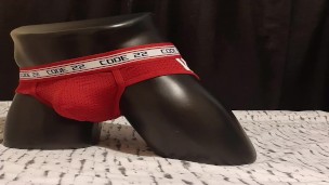 Underwear Collection 