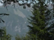 Mia Blow and Cherrycandle  1/16