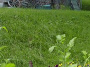 Mia Blow and Cherrycandle  12/16