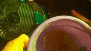 pissing wearing metal cockring jockstrap with cup