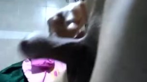 PAJA EN LA CASA
