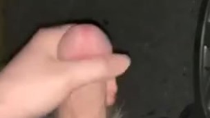 Car fun
