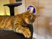 Normally, your energetic pussy is quiet when playing with you ... . 10/16