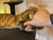 Normally, your energetic pussy is quiet when playing with you ... . 11/16