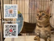 Normally, your energetic pussy is quiet when playing with you ... . 15/16