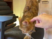 Normally, your energetic pussy is quiet when playing with you ... . 4/16