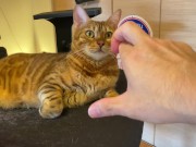 Normally, your energetic pussy is quiet when playing with you ... . 9/16