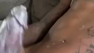 Creamy Nut 