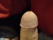 My cock 16/16