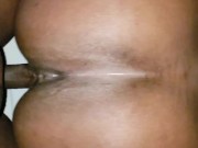 Big Booty Backshots 1/16