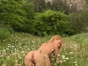 Hot Blonde Peeing Naked On A Field