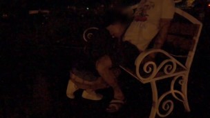 A young couple is having sex on a roadside bench.