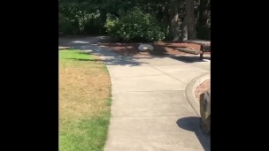 Outdoor exhibitionism, prostate plug and massive cum. Sir requested this for dirty Slut.