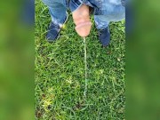 Pee Compilation 10/16