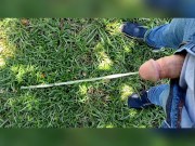 Pee Compilation 2/16