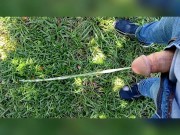 Pee Compilation 3/16