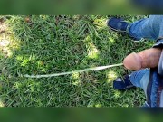 Pee Compilation 6/16