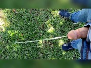 Pee Compilation 8/16