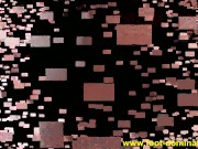 foot worship femdom 14/16