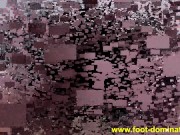 foot worship femdom 4/16