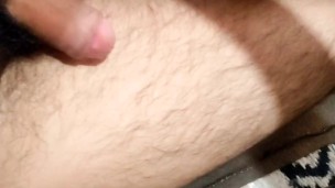 Chacal mexicano se saca la leche en el suelo de su cuarto 