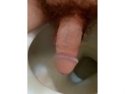 Pee Compilation 3/16