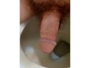 Pee Compilation 6/16