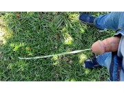 Pee Compilation 4/16