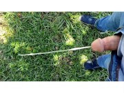 Pee Compilation 6/16