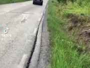 EP3 Type R meme 4/16