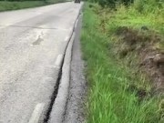 EP3 Type R meme 7/16