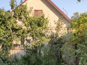 They are quite tasty. I enjoy walking. 10/16