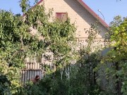 They are quite tasty. I enjoy walking. 2/16