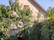 They are quite tasty. I enjoy walking. 3/16