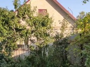 They are quite tasty. I enjoy walking. 9/16