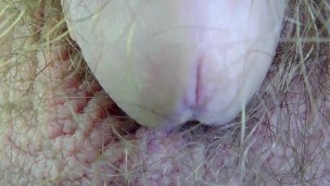 A close-up of this hairy crotch