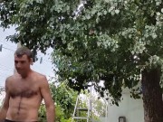 Time to pick pears 16/16