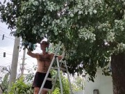 Time to pick pears 4/16