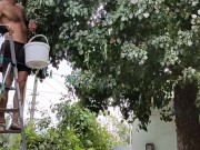 Time to pick pears 7/16