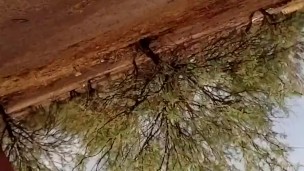 Nude public sexy sandals