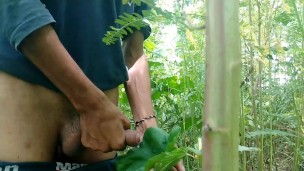 Cumshot in forest, masturbation in outdoor area
