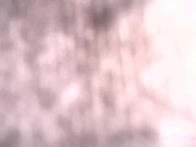 #FreeTexasPorn 12/16