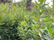 Blowjob outside and cum on nylon on public place  4/16