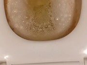 Dirty Toilet Pissing 16/16