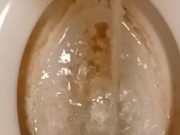 Dirty Toilet Pissing 4/16