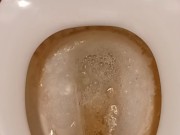 Toilet Pissing 11/16