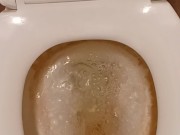 Toilet Pissing 12/16