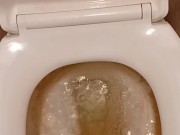 Toilet Pissing 14/16