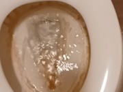 Toilet Pissing 3/16
