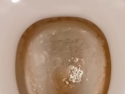 Toilet Pissing 6/16